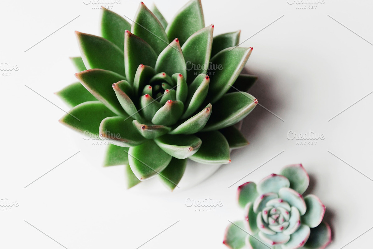 Summer Insta-Bundle, an Arts & Entertainment Photo by Light & Grace (Photo 8 of 8)