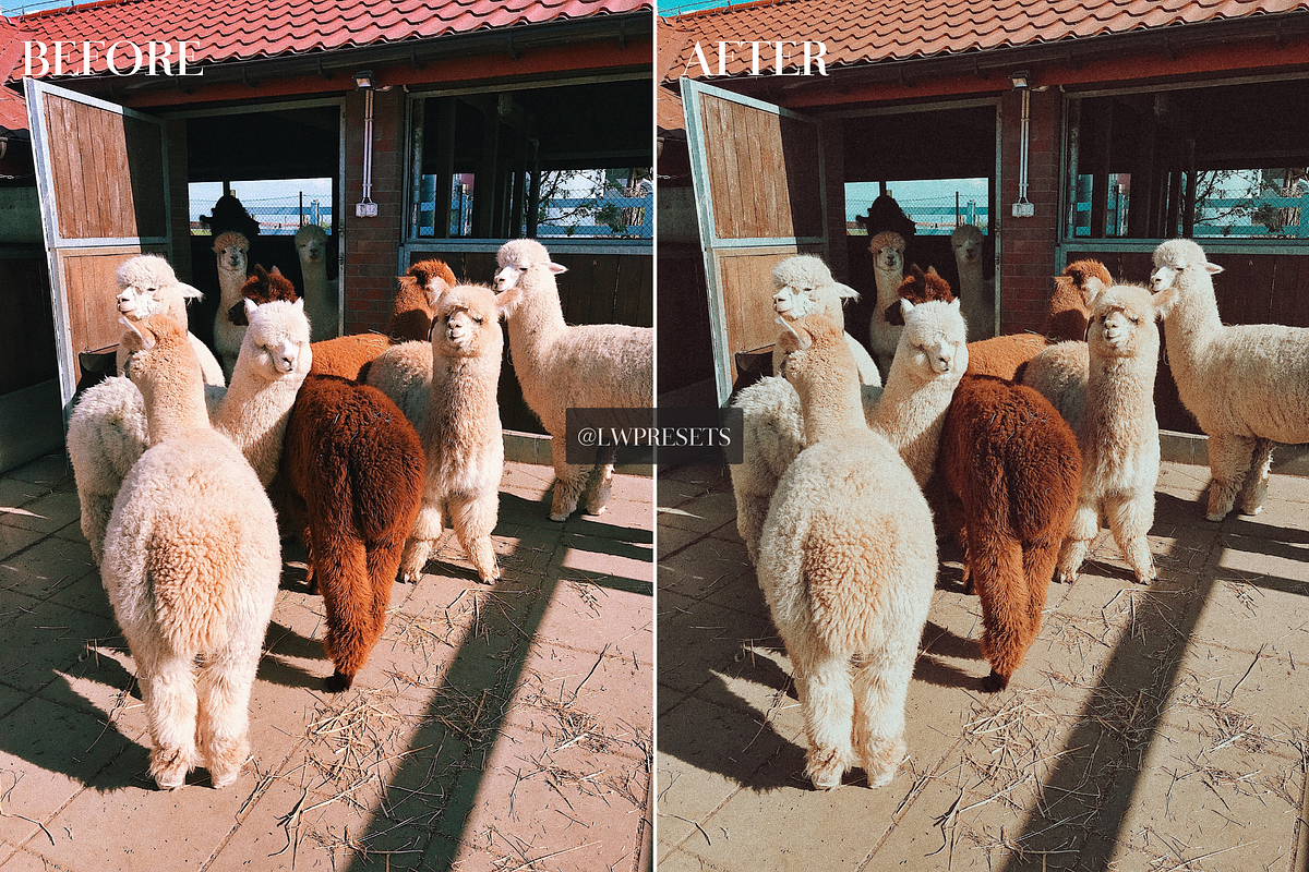 10 Aesthete Lightroom Presets, a Preset Add-On by LWPRESETS (Photo 3 of 9)