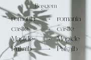 Basgem – Modern Serif Typeface, a Serif Font by Issam Type (Thumbnail 11 of 18)