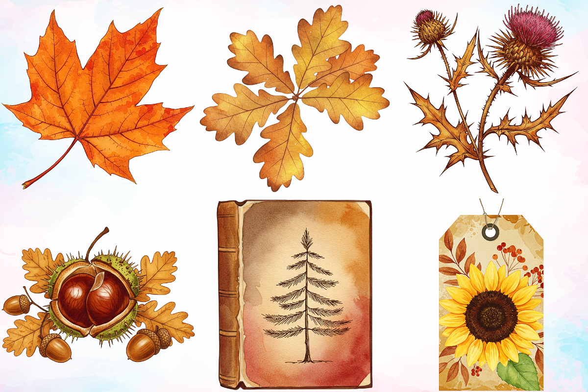 Watercolor Ephemera Autumn Clipart, a Seasonal Illustration by Canvas Craft (Photo 3 of 5)