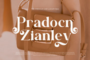 Vanniel || Modern Serif Font, a Serif Font by Ermedia Studio (Thumbnail 10 of 10)