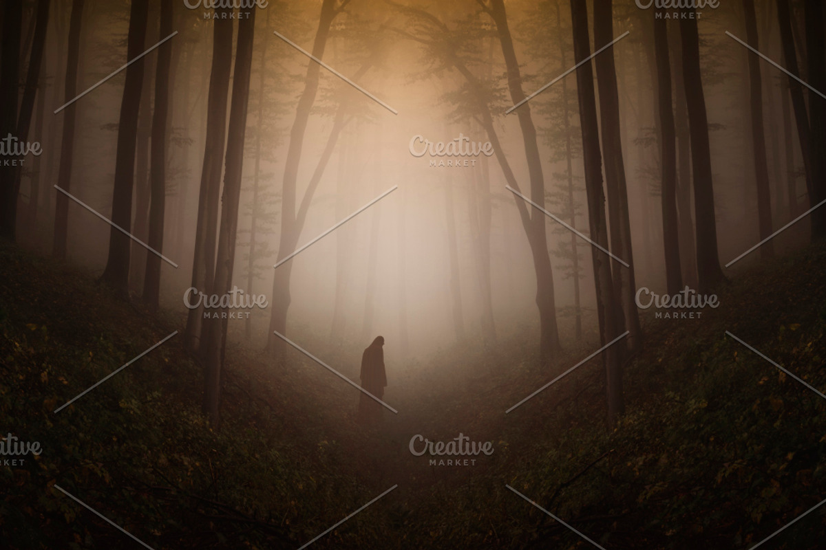 Haunted Halloween Forest Pack 2, a Nature Photo by Atmospheric visuals (Photo 4 of 6)