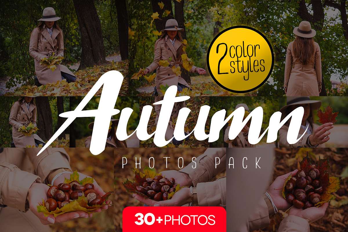 Bundle fall photos /240+pics, a Templates & Theme by tydla (Photo 2 of 11)