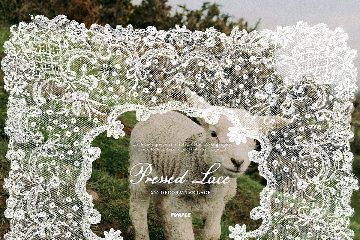 Pressed Lace Frames, a Texture Graphic by Purple (Photo 3 of 16)