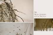 Solo - Card Mockup Photo Bundle, a Mockup by NataliArkushArt (Thumbnail 12 of 17)