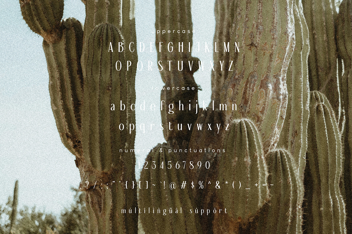 De Martega Display Font, a Serif Font by Hishand Studio (Photo 8 of 10)