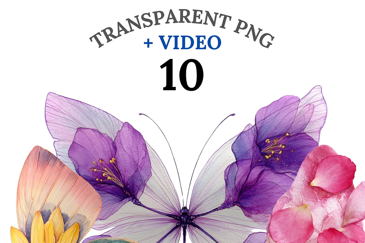 10 Butterfly Clipart PNG, an Animal Illustration by Pati Charm Studio (Photo 1 of 8)
