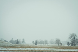 Quiet Day