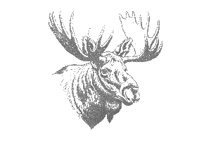 Vintage Moose Head Stipple Engraving, an Animal Illustration by MkStudio