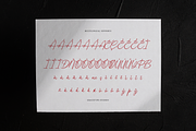 Boudica Perfect | Handwritten Script, a Script Font by gracetype_studio (Thumbnail 11 of 12)