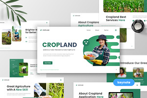 Cropland - Agriculture Keynote, a Presentation Template by MtvtdArt