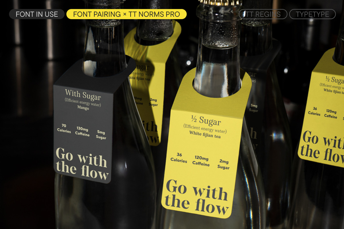 TT Regins, a Serif Font by TypeType (Photo 11 of 15)