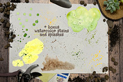 Spring bulbous flowers watercolor, an Object Illustration by DemiLena (Thumbnail 10 of 12)