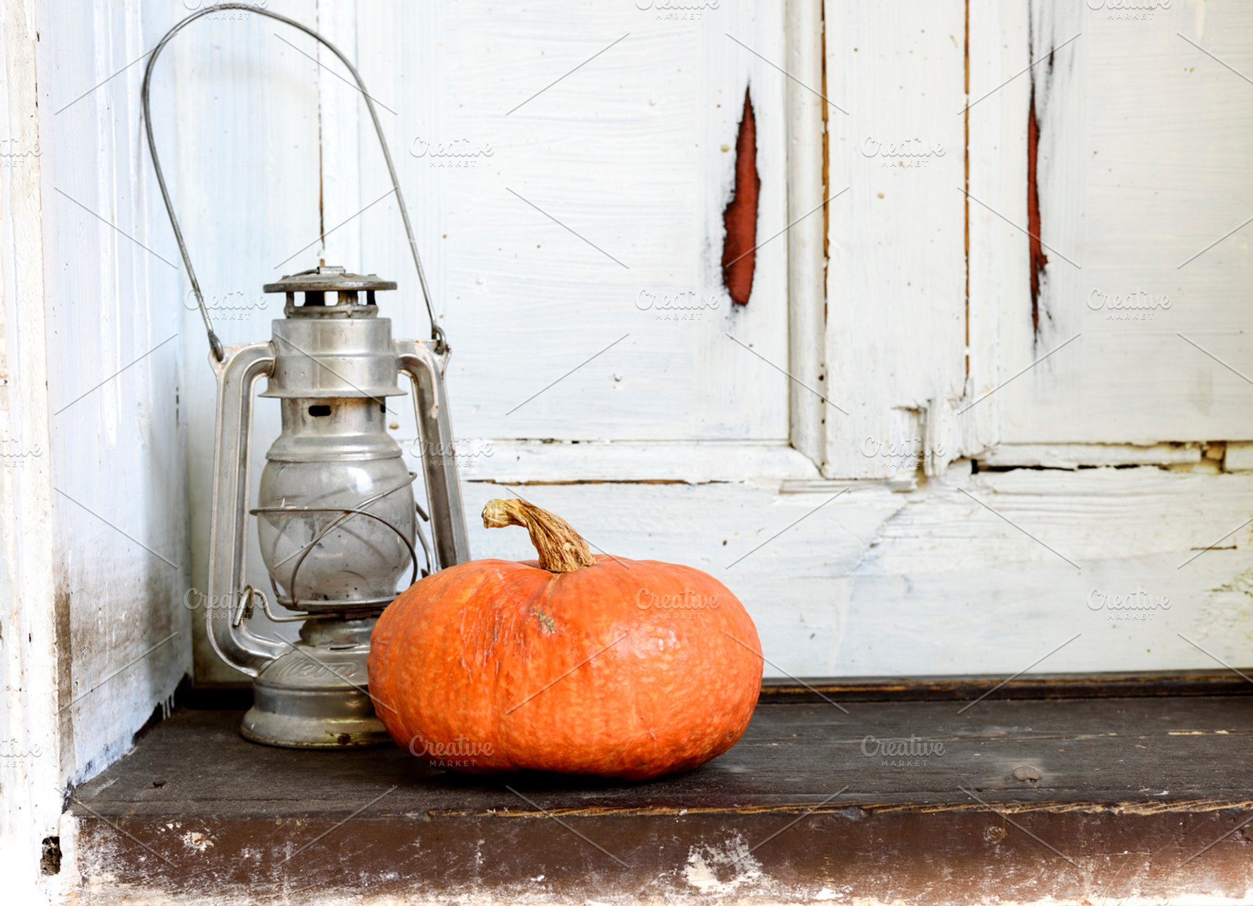Halloween pumpkin still life, a Holiday Photo by hitdelight