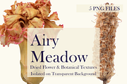 Airy Meadow – Dried Flower & Meadow, an Object Graphic by Aga Silva (Thumbnail 5 of 7)