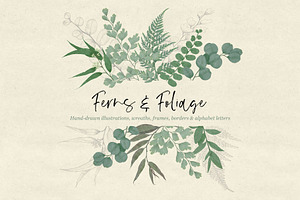 Ferns & Foliage Illustrations