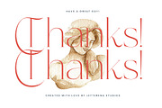 Amethys Mistralit Modern Display, a Serif Font by Letterena Studios (Thumbnail 15 of 15)