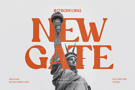 Newgate, a Serif Font by FactoryType