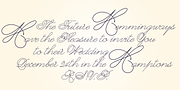 Dreamline, a Script Font by Wiescher-Design (Thumbnail 4 of 9)