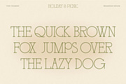 BD Holiday & Picnic, a Slab Serif Font by Brandear Design (Thumbnail 5 of 16)