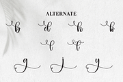 Dingbats | Script Font, a Handwritten Font by Scratchones (Thumbnail 8 of 9)