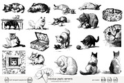 95 line art Cats clip art, an Animal Illustration by Poppy Lane Studio (Thumbnail 5 of 12)