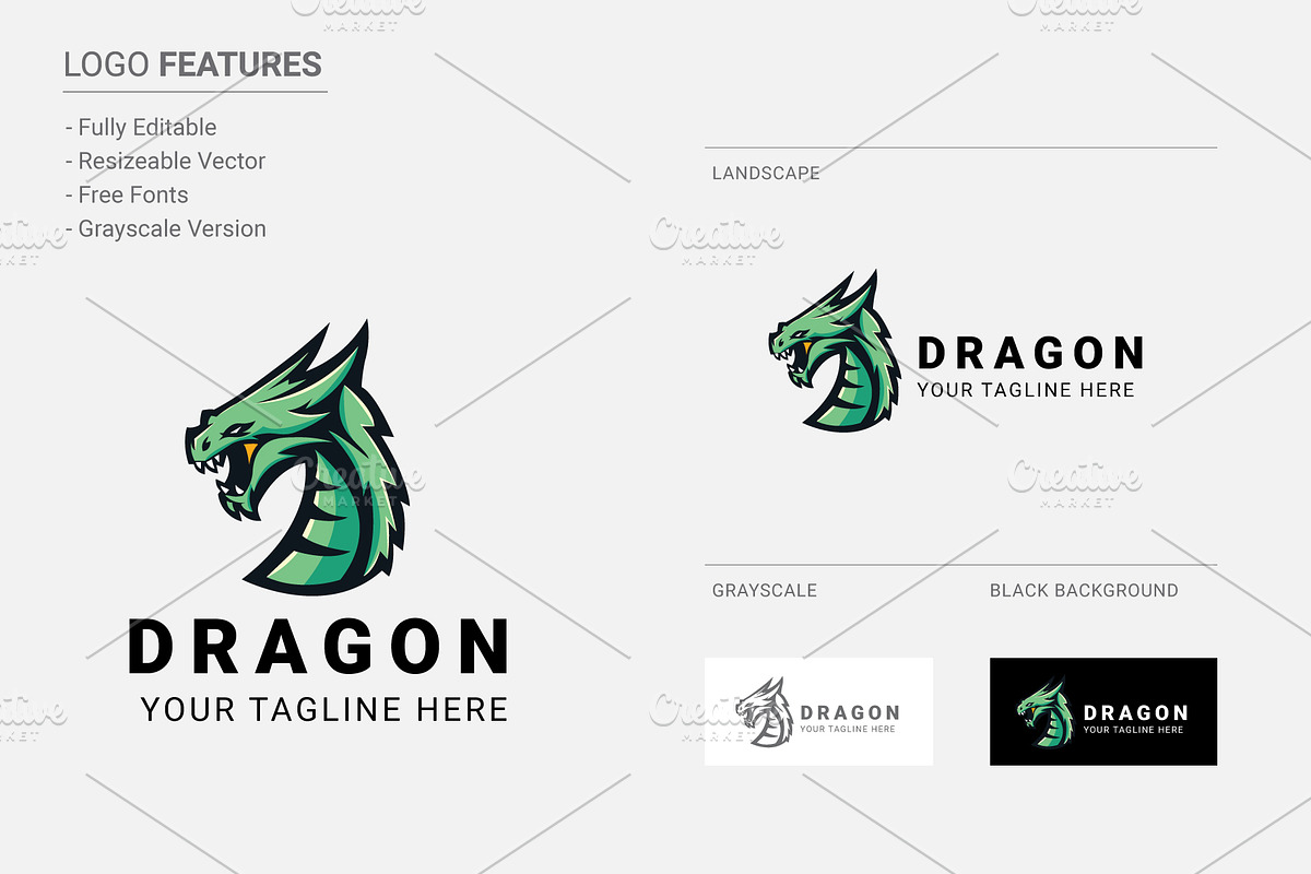 Dragon Logo, a Branding & Logo Template by Ben Naveed