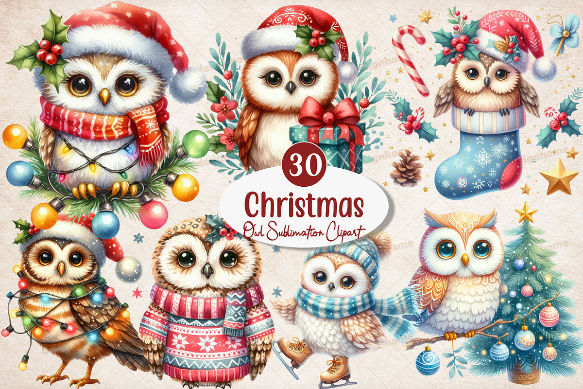 Christmas Owl Sublimation Clipart, an Illustration by SinaCreation (Photo 1 of 5)