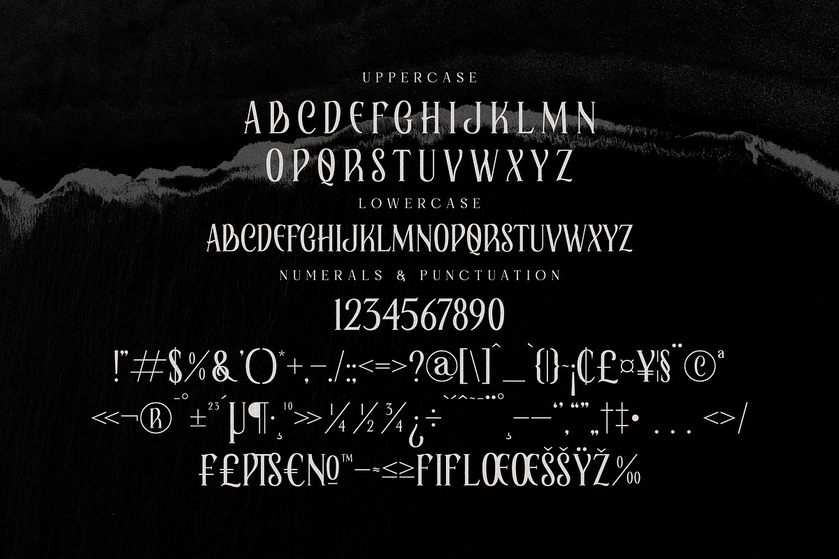 Elaphoras Display Serif Font, a Sans Serif Font by Storytype Studio (Photo 16 of 18)