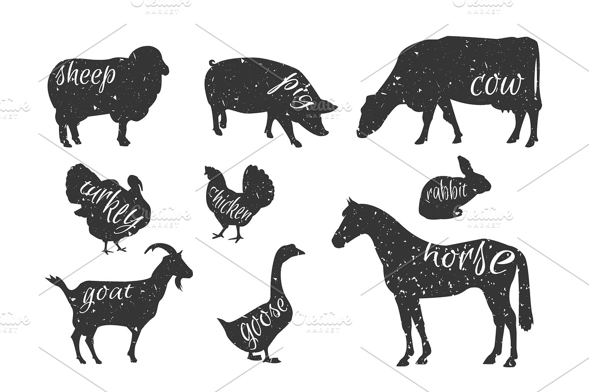 Farm animals collection., an Animal Illustration by itiir (Photo 2 of 4)