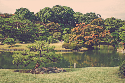 Japanese Garden Featuring Japan Japanese And Garden preview 5