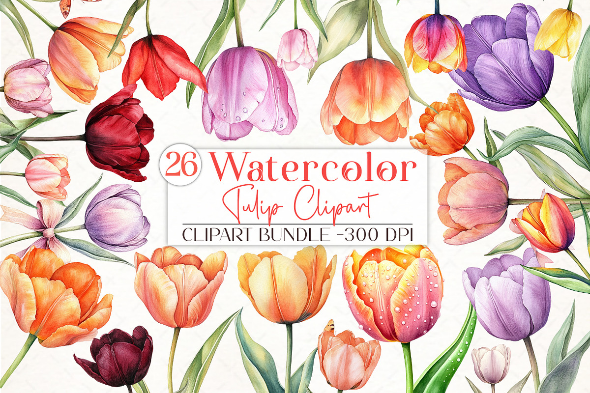 Watercolor Tulip Clipart, an Illustration by Libby Wishes (Photo 1 of 5)