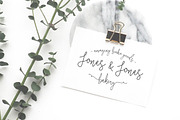Wonderland Fonts Pack & Branding Kit, a Script Font by Graphicdome (Thumbnail 67 of 118)