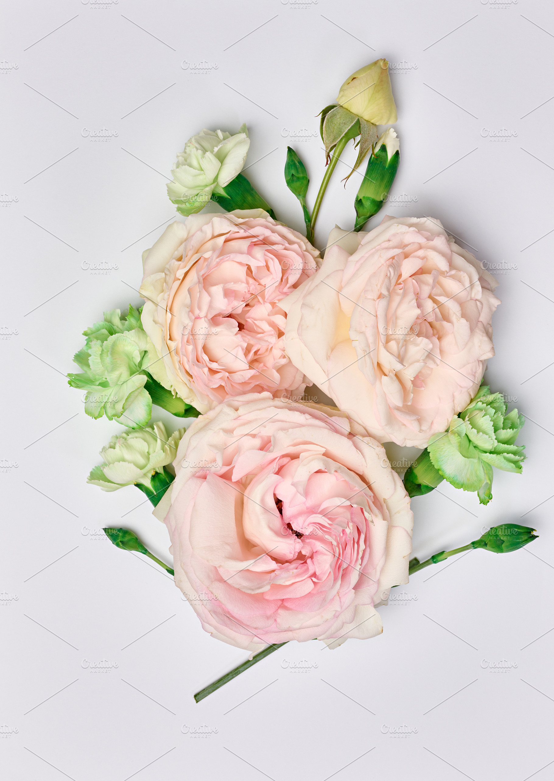 A floral arrangement of open, soft pink roses and small green ca, a Nature Photo by ndanko