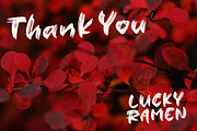LUCKY RAMEN - Dry Brush Font, a Font by VASTARD STUDIO (Thumbnail 9 of 9)