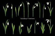 Watercolor wild spring flowers set, a Decorative Illustration by KathrineWatercolor (Thumbnail 3 of 10)