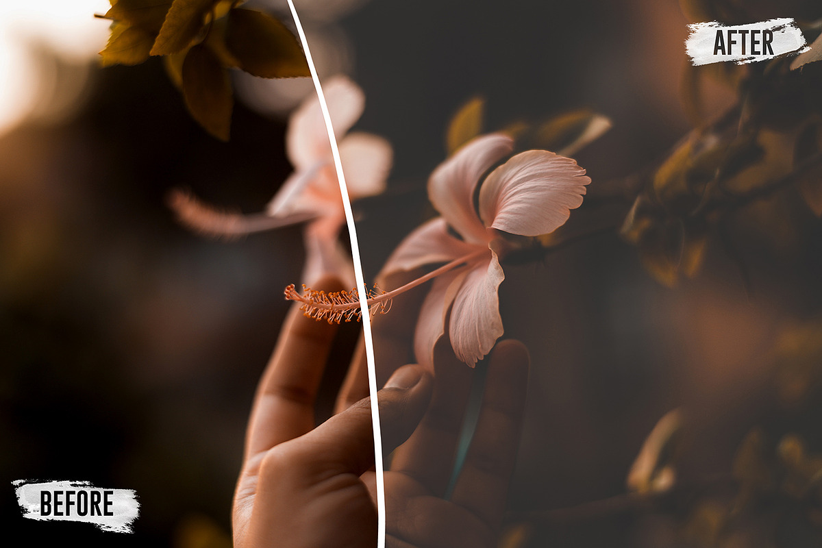 25 Matte LUTs and Presets Pack, a Plug-in Add-On by Eldamar Studio (Photo 8 of 8)