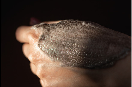 Close-up in a woman's hand texture