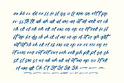 Tropics Sometimes Beaches, a Script Font by stylishtype.co (Thumbnail 13 of 15)