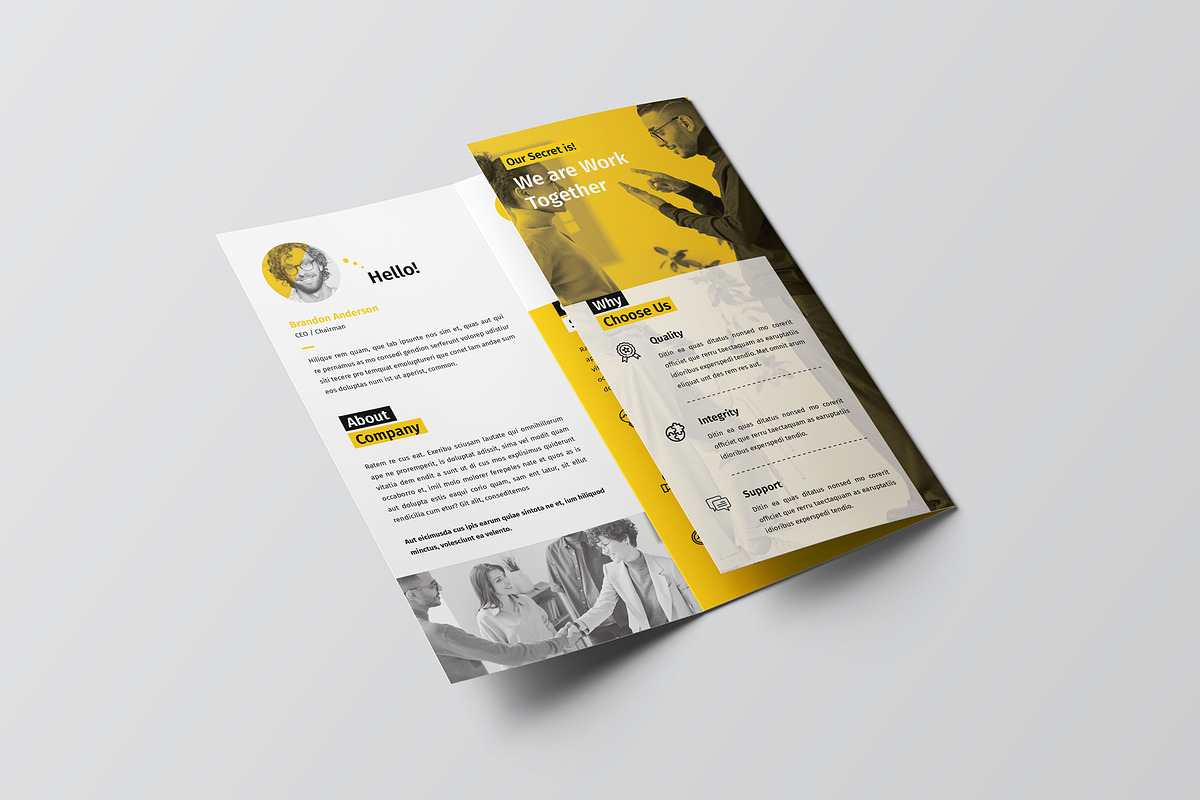 Trifold Brochure preview 4