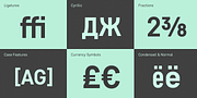 Core Sans D, a Sans Serif Font by S-Core (Thumbnail 5 of 6)