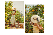 Limoncello Styled Stock Photo Bundle, a Background Photo by Munopia (Thumbnail 5 of 7)