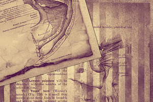 Clandestine Anatomy Textures