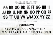 Vintage Beach, a Script Font by FreshTypeINK (Thumbnail 2 of 8)