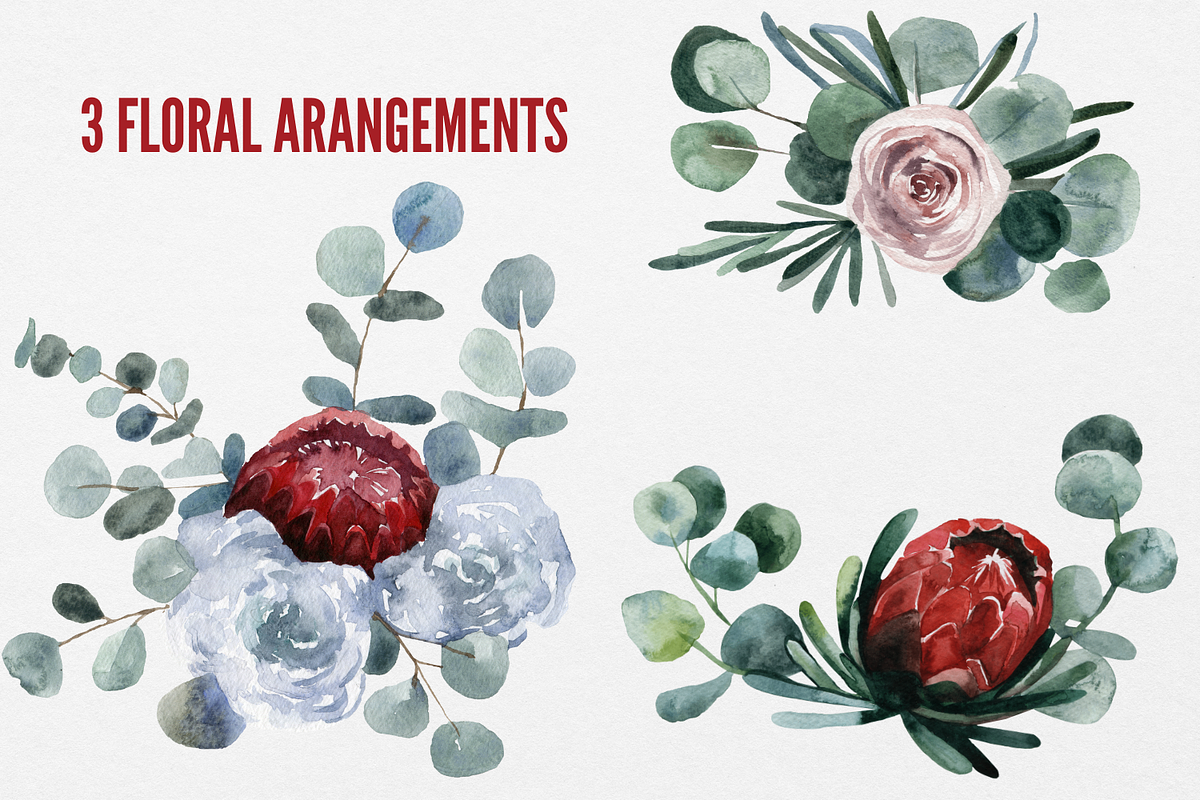 Eucalyptus watercolor clipart, an Illustration by Artcard Watercolor (Photo 3 of 9)