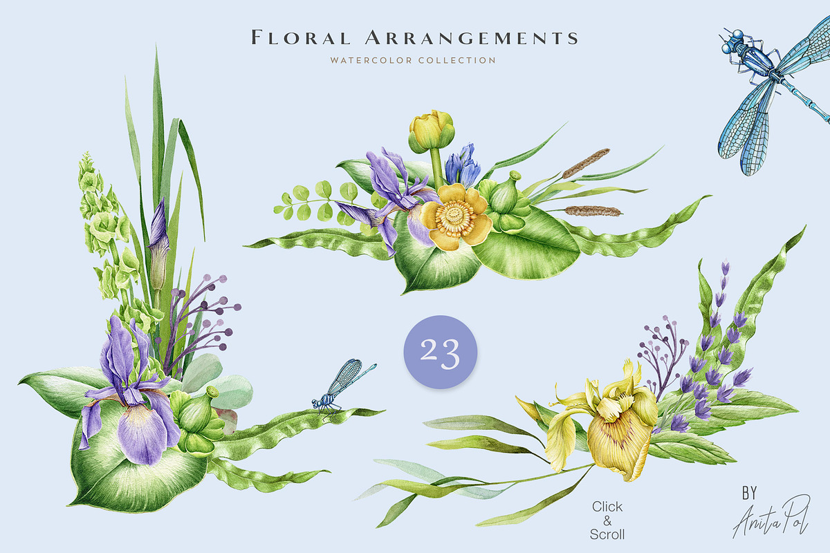 Botanical Watercolor Clipart Set, a Decorative Illustration by AnitaPol (Photo 5 of 21)