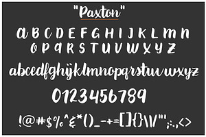 Paxton A Chic Hand Written Font