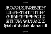 Helmova, a Serif Font by Zaloma Studio (Thumbnail 18 of 18)