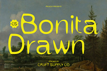 CS Bonita Drawn