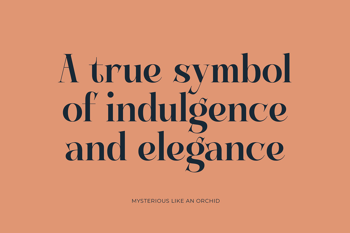 Keylag Borden Modern Serif, a Serif Font by timelesstype.co (Photo 14 of 20)